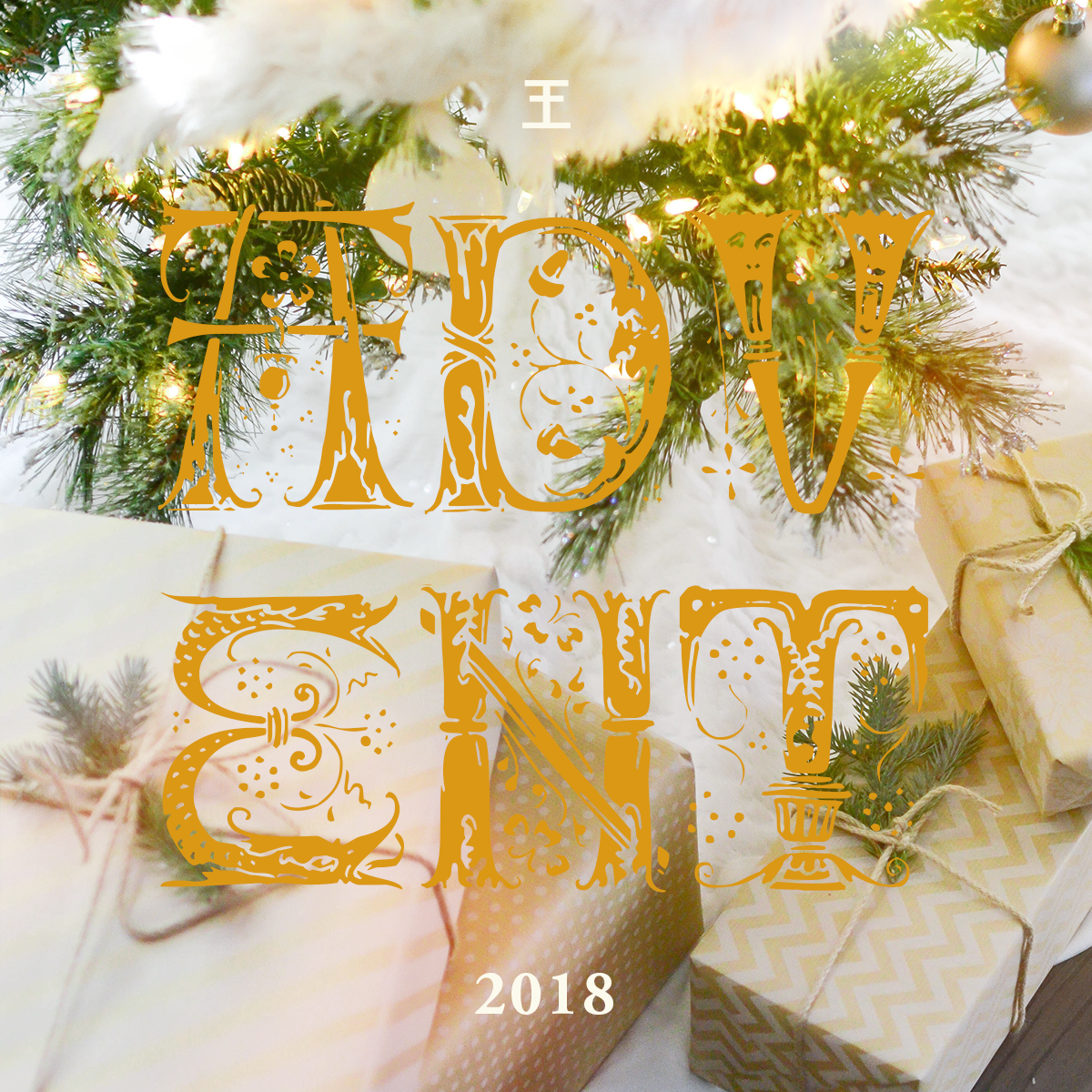 Amazing News (Luke 2:15–20)