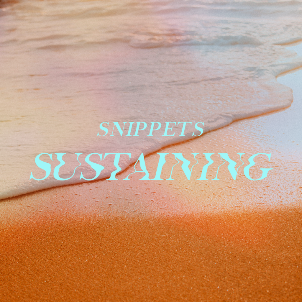 Snippets: Sustaining