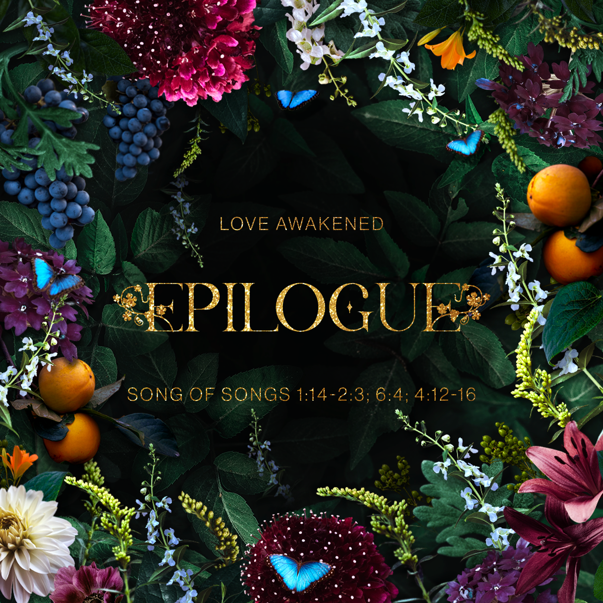 Epilogue (Song 1:14-2:3; 6:4; 4:12-16)